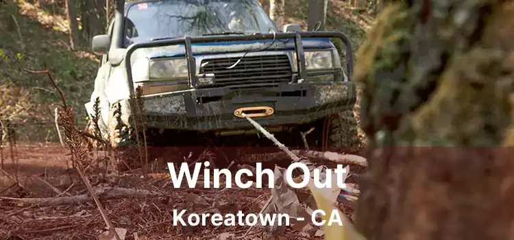 Winch Out Koreatown - CA