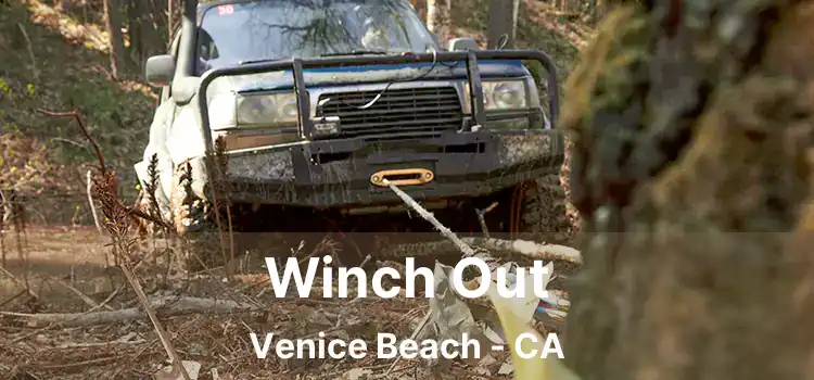 Winch Out Venice Beach - CA