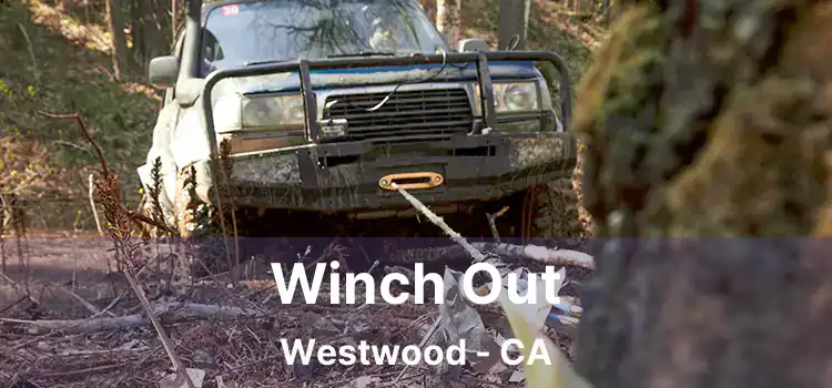 Winch Out Westwood - CA